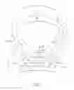 Fig. 03 - Headgear assembly for a respiratory mask assembly