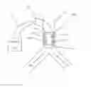 Fig. 01 - Inspiratory synthesis of nitric oxide