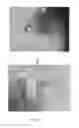 Fig. 40 - Inspiratory synthesis of nitric oxide