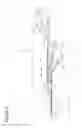 Fig. 04 - Catheter for treatment of sinusitis