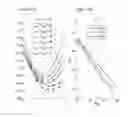 Fig. 13 - System for delivery of gaseous imaging contrast agents and methods for using same