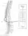 Fig. 01 - Systems and methods for administering spinal cord stimulation based on temporal patterns of electrical stimulation