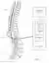 Fig. 02 - Systems and methods for administering spinal cord stimulation based on temporal patterns of electrical stimulation