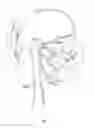 Fig. 02 - Devices and methods for treating craniofacial pain