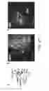 Fig. 24 - Optogenetic control of behavioral state