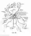 Fig. 04 - Neuromodulation and associated systems and methods for the management of pain