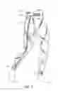 Fig. 06 - Garment for elevating physiological load under motion