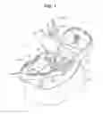 Fig. 02 - AQUATIC TOY AND ENVIRONMENT THEREFORE