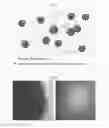 Fig. 08 - SOL-GEL KIT FOR PREPARING BIOCHIP AND METHODS FOR PREPARING BIOCHIP USING THE SAME