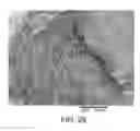 Fig. 30 - Processing biomass