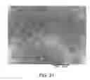 Fig. 32 - Processing biomass