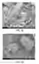 Fig. 34 - Processing biomass