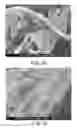 Fig. 35 - Processing biomass