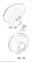 Fig. 14 - Shower spa attachment