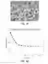 Fig. 35 - Nanoparticle coating of surfaces