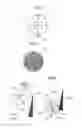 Fig. 03 - Sanding device including means for changing a sanding disk