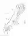 Fig. 02 - Gripping Tool with Adjustor Allowing Quick Adjustments of Clamping Pressure Modes
