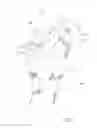 Fig. 02 - Ratcheting Wrench