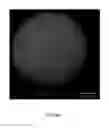 Fig. 06 - Method for producing shaped polymeric microparticles