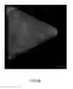 Fig. 07 - Method for producing shaped polymeric microparticles