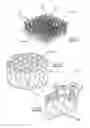 Fig. 03 - DESIGN AND PROCESSES FOR MAKING LIGHT, STIFF AND STRONG STRUCTURES