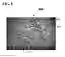 Fig. 08 - Flexible lightweight arc flash and flash fire resistant polyvinylchloride fabric and garments and methods therefor