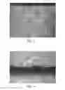 Fig. 06 - METHOD FOR MANUFACTURING COMPOSITE MATERIAL WITH FABRIC GRAIN EFFECT
