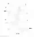 Fig. 04 - Paper input mechanism having buffer function and printing device using the mechanism