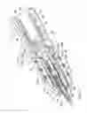 Fig. 03 - Writing utensil