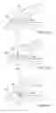 Fig. 12 - Writing utensil