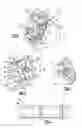 Fig. 03 - Pipe retainer