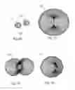 Fig. 11 - Selective proximity detection system and method