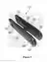 Fig. 05 - Waste container transport device