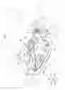 Fig. 02 - Subframe structure