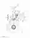 Fig. 02 - Cycle transmission exhibiting low steering interference effects