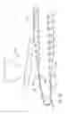 Fig. 13 - Pipe conveyors