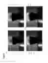 Fig. 20 - Tap, server, pouring member, and attachment/detachment tool