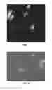 Fig. 03 - Methods for synthesis of graphene derivatives and functional materials from asphaltenes