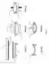 Fig. 02 - Bent glass plate for optical use and fabrication method thereof