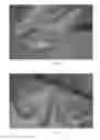 Fig. 05 - Utilizing Nitrate Salts in Order to Produce Explosives