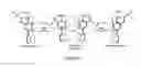 Fig. 03 - Stereodynamic chemosensors