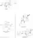 Fig. 04 - Method of isolating ingenol