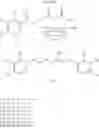 Fig. 98 - THERAPEUTIC CURCUMIN DERIVATIVES