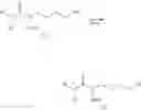 Fig. 28 - LSD1-selective inhibitor having lysine structure