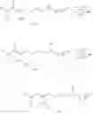 Fig. 31 - LSD1-selective inhibitor having lysine structure