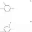 Fig. 06 - Piperidine derivative, liquid crystal composition and liquid crystal display device