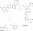 Fig. 09 - PROCESS FOR THE PREPARATION OF PERAMPANEL