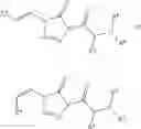 Fig. 20 - Fumarate analogs and uses thereof