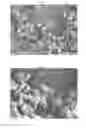 Fig. 03 - EMM-23 molecular sieve material, its synthesis and use
