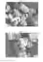 Fig. 04 - EMM-23 molecular sieve material, its synthesis and use